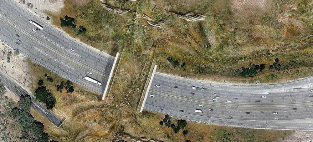 The ‘World’s Largest Wildlife Crossing’ Will Help Animals Walk Safely Over Eight Lanes of California Traffic