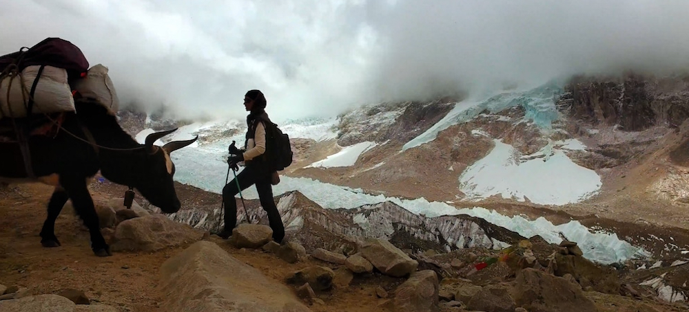 New Documentary Explores Climate Breakdown and ‘Protectors’ Fighting to Adapt