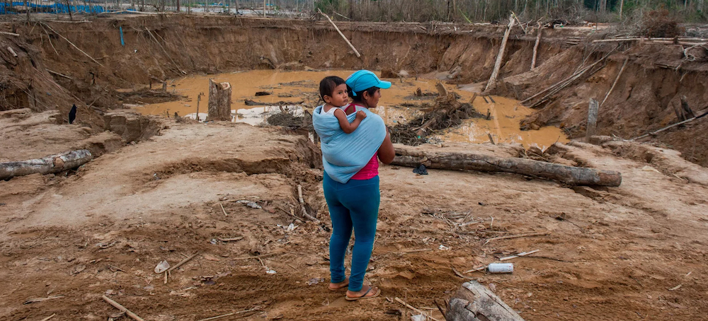 Gold Mining Reduced This Amazon Rainforest to a Moonscape. Now Miners Are Restoring It