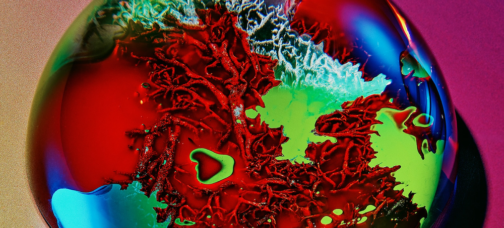 A Blood Test to Detect Cancer? Some Patients Are Using Them Already.