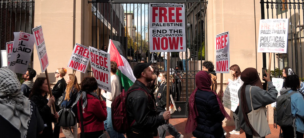 A Dose of Clarity: Israel, Gaza, and the American Protests