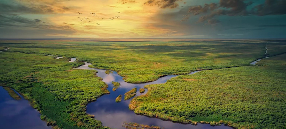 How the Miccosukee Tribe Plans to Stop Oil Drilling in the Everglades Once and for All