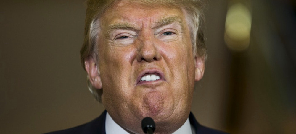 How Can This Country Possibly Be Electing Trump Again?