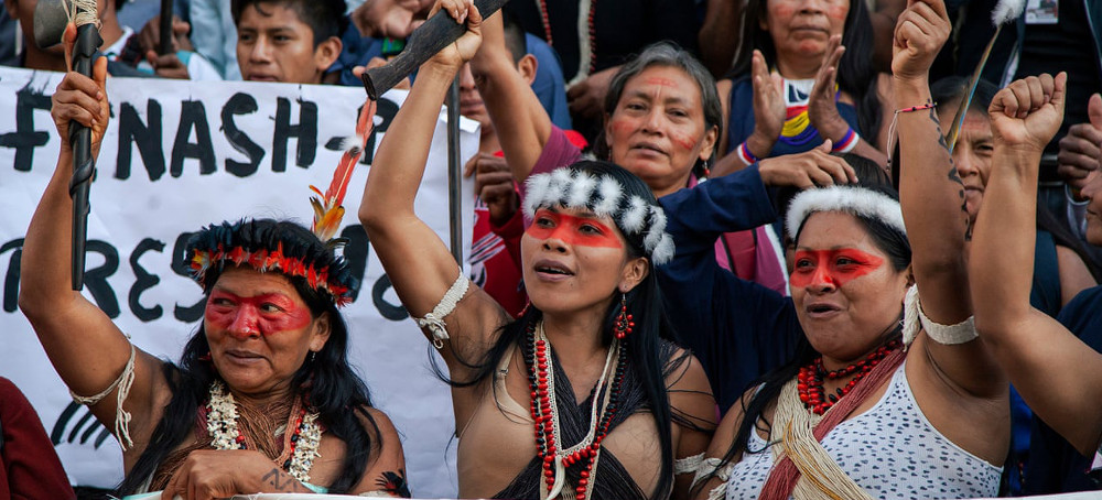 ‘I Want People to Wake Up’: Nemonte Nenquimo on Growing Up in the Rainforest and Her Fight to Save It