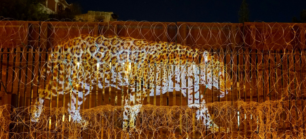 In Arizona, an Art Installation Highlights the US-Mexico Border’s Impact on Wildlife