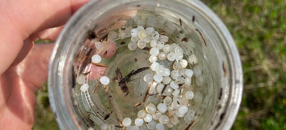 Lawsuits Targeting Plastic Pollution Pile Up as Frustrated Citizens and States Seek Accountability