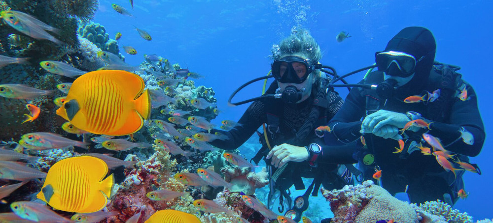 ‘Wake-up Call to Humanity’: Research Shows the Great Barrier Reef Is the Hottest It’s Been in 400 Years