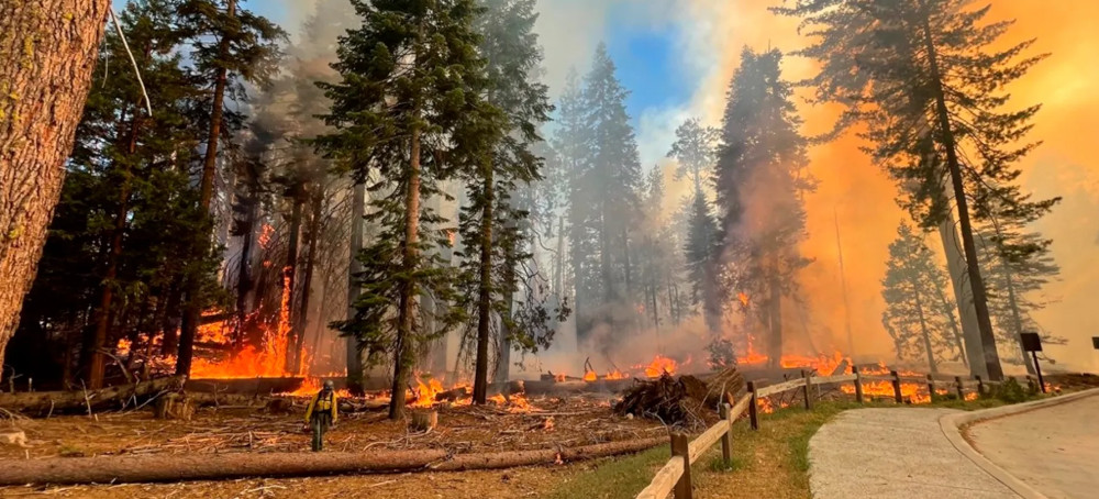 National Parks at Escalated Wildfire Risk, Thanks to Doge Cuts
