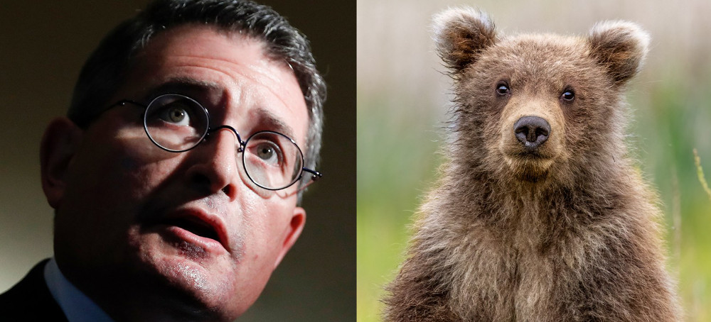 Inside the Right-Wing Campaign to End Protections for Endangered Species