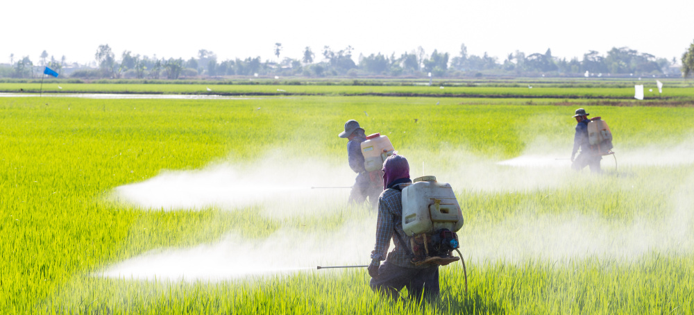Pesticides Potentially as Bad as Smoking for Increased Risk in Certain Cancers