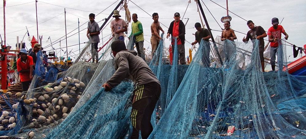 Too Much of Our Seafood Has a Dark Secret