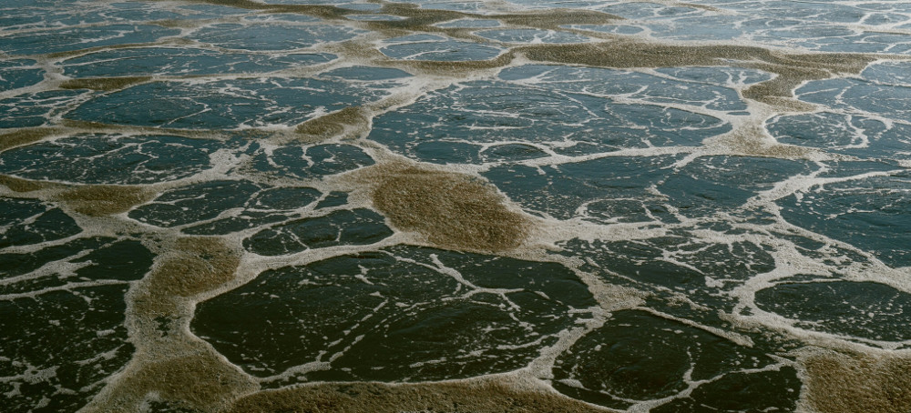 Something’s Poisoning America’s Farms. Farmers Fear ‘Forever’ Chemicals.
