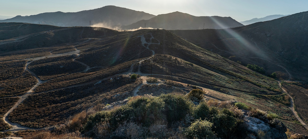 California City Approves Industrial Park Next to One of Earth’s Oldest Trees