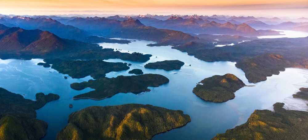 I Won’t Believe It Until I See It Happen’: Could a Ban on Sea Farms Save Canada’s Salmon?