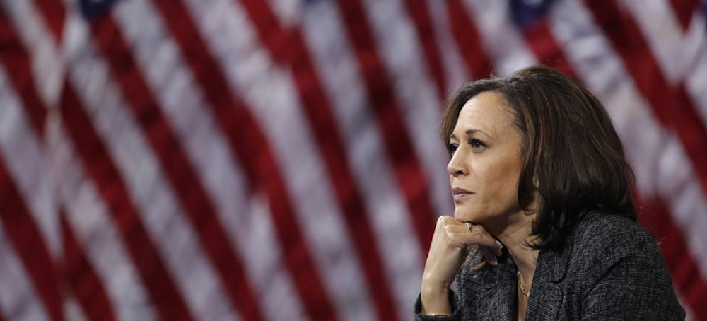 Flag Waving and Flag Burning in Kamala Harris’s America
