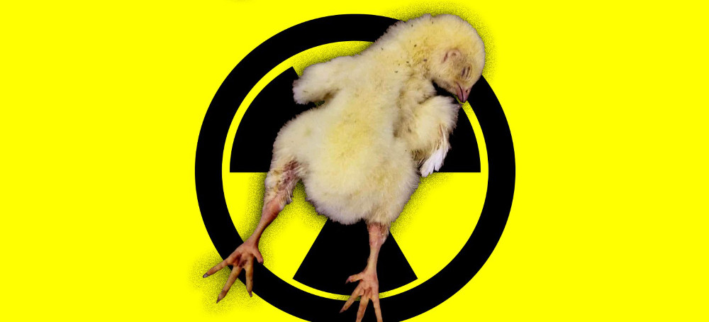 The FBI’s Weapons of Mass Destruction Program Has a New Target: Animal Rights Activists