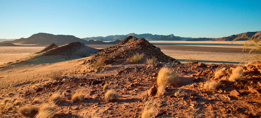 Drylands Now Make Up 40% of Land on Earth, Excluding Antarctica, Study Says