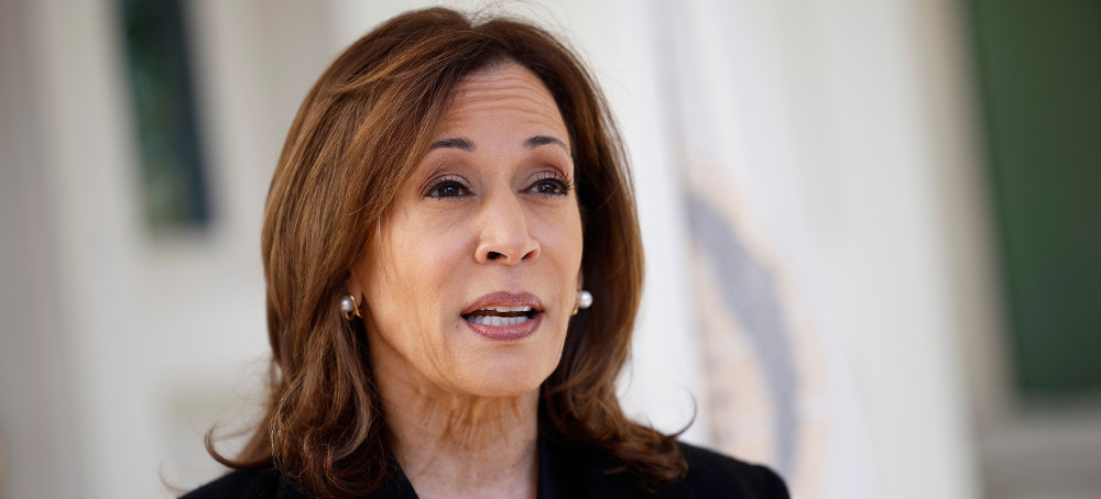 Kamala Harris Asks Americans: Are You Really Going to Elect a Guy Who Has Good Things to Say About Hitler?
