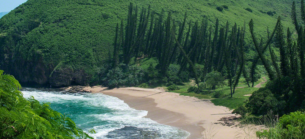 The Island Where Environmentalism Implodes