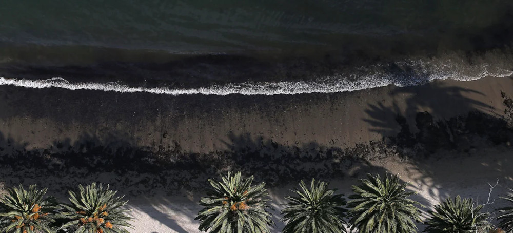 Drilling Could Resume Where a 1969 Oil Spill Inspired Earth Day