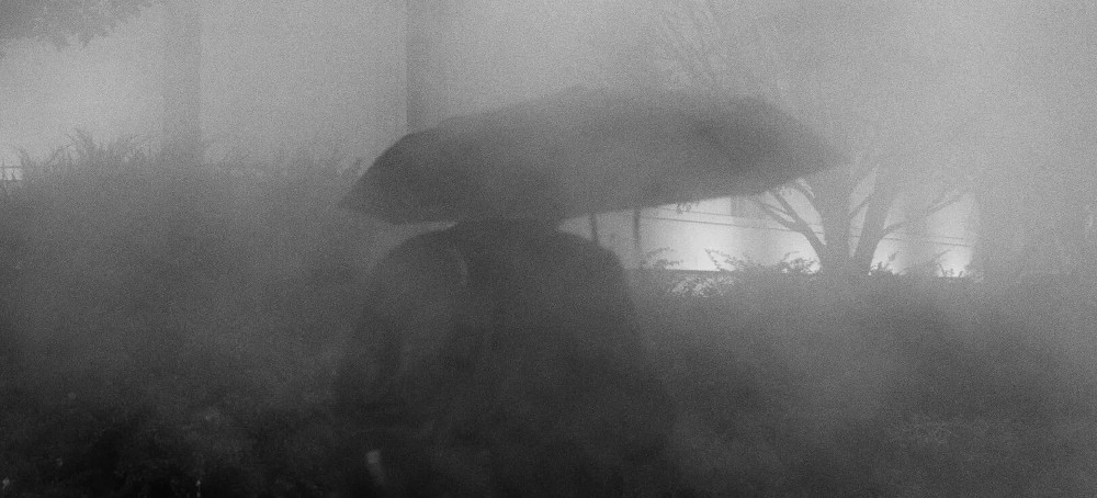 I’m a Lawyer at the Justice Department. Here’s Why Many Federal Employees Are So Worried.