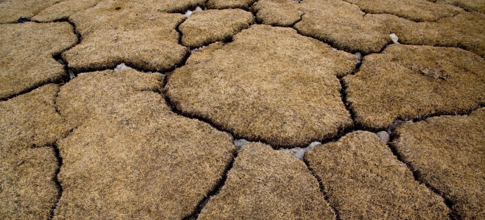 A Third of the Arctic’s Vast Carbon Sink Now a Source of Emissions, Study Reveals