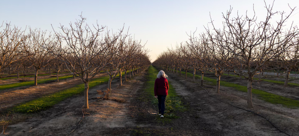 70 Countries Have Banned This Pesticide. It’s Still for Sale in the US