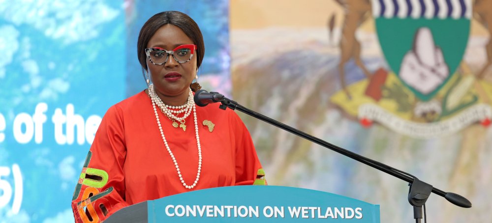 Earth’s Wetlands Are Disappearing and Global Efforts to Save Them Are Unraveling