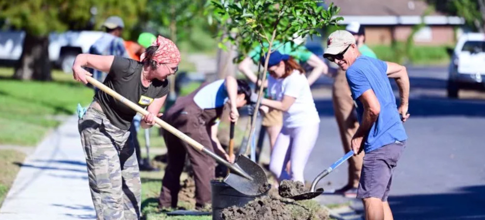 Tree-Planting Charity on Verge of Collapse After Trump Funding Freeze