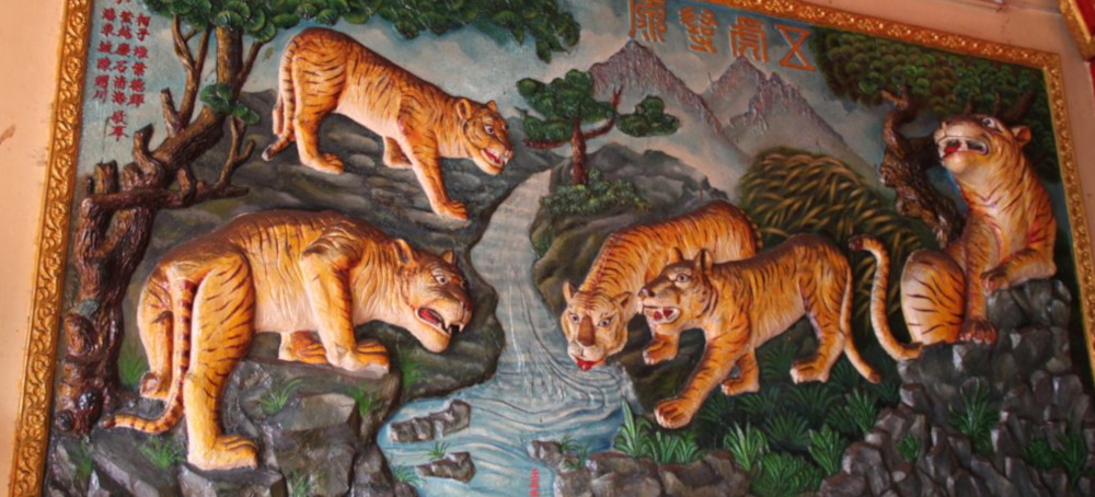 50 Years Later: The Vietnam War’s Enduring Effect on the Tiger Trade