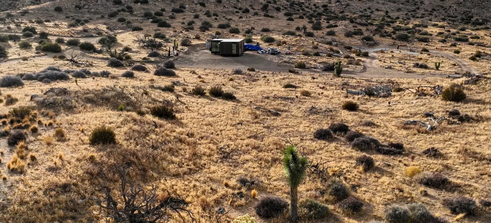 Mysterious Land Purchases within Joshua Tree National Park Worry Environmentalists