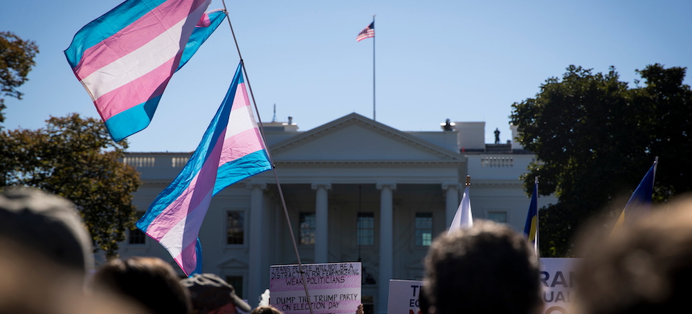 Wokeness Is Not to Blame for Trump