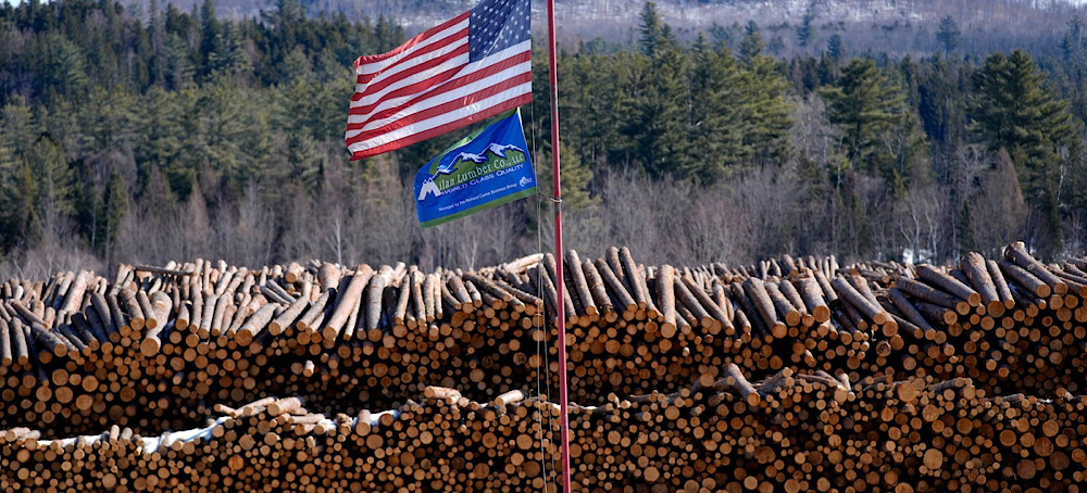 Trump Administration Orders Half of National Forests Open for Logging