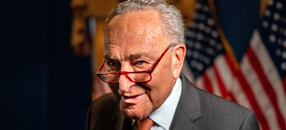 Anger at Democratic Party Leadership Fuels 2026 Primaries