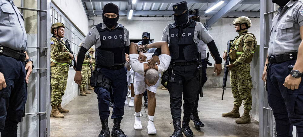 The Politics of Torture Images