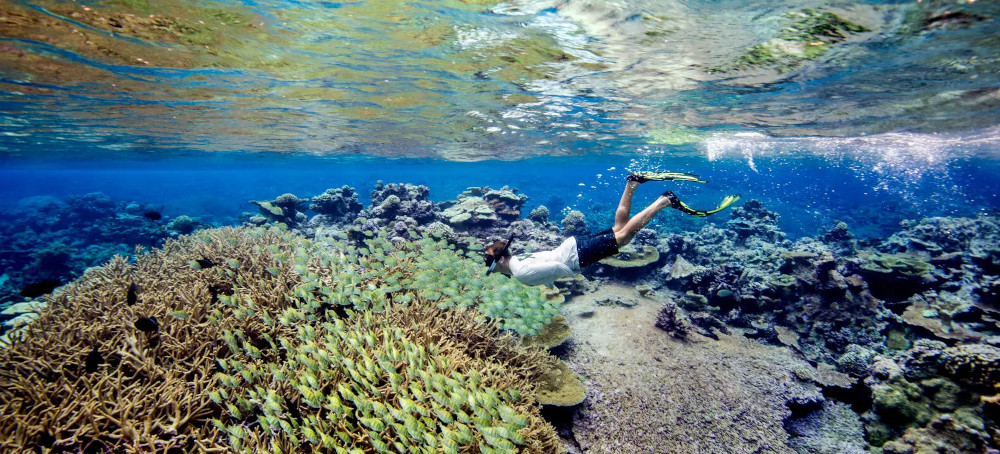 Trump Opens a Huge Marine Protected Zone to Commercial Fishing