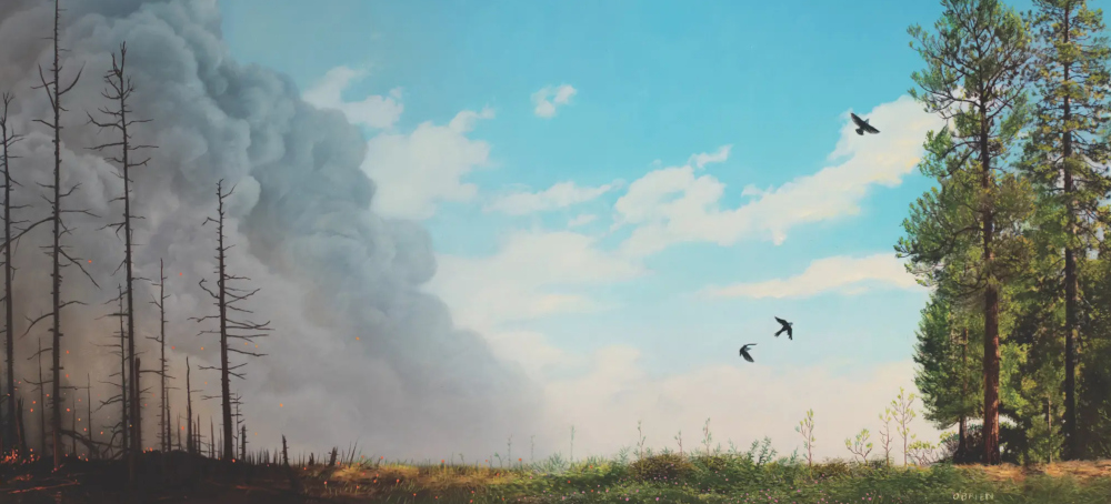 The Ambitious Plan to Protect Northern California’s Plumas National Forest From Wildfires