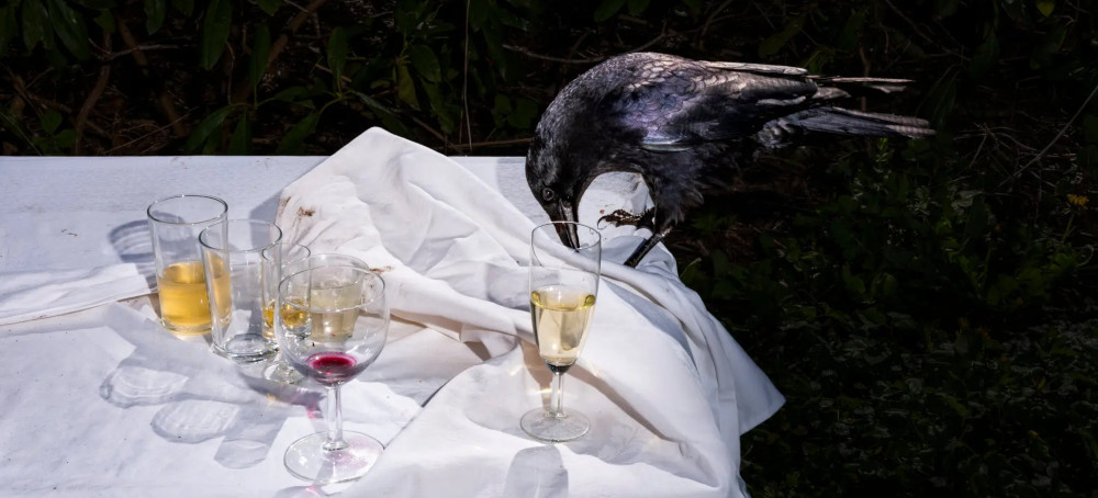 My Dinner With Adolf