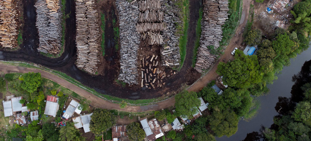 ‘A Cemetery of Trees’: Vast Green Expanses Turned to Dust as Loggers Plunder South America’s Gran Chaco