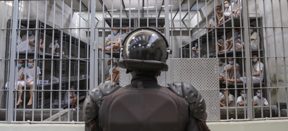 Trump Administration Knew Vast Majority of Venezuelans Sent to Salvadoran Prison Had Not Been Convicted of US Crimes