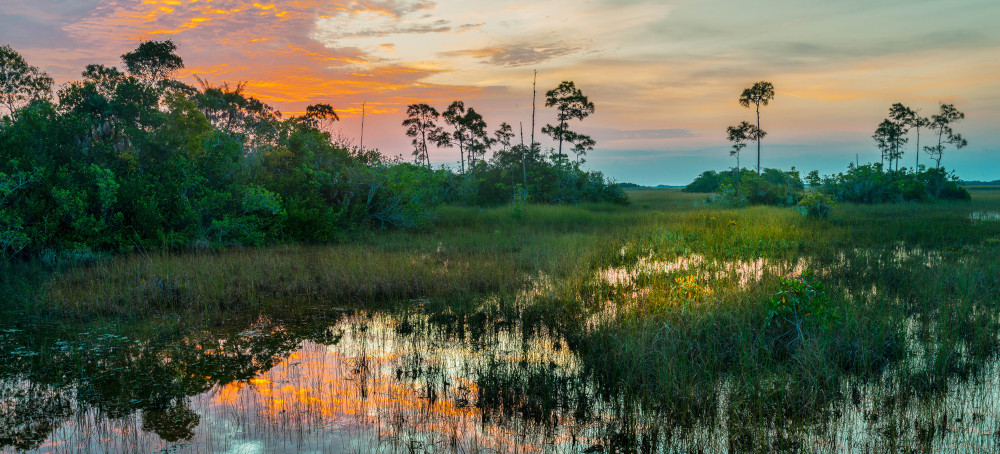 Everglades Dry Up as Worst Drought Since 2012 Lingers in Florida
