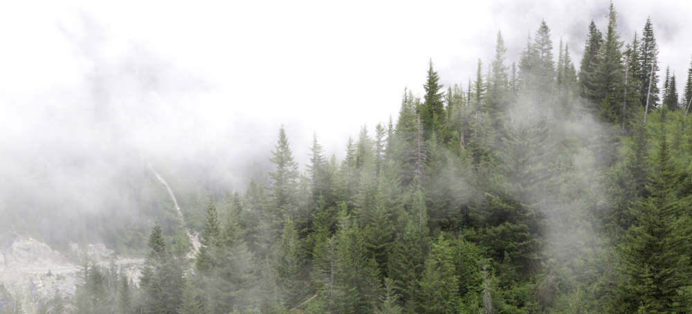 Ted Bundy, Serial Killers and Lead Exposure: Exploring the Connection Between Neurotoxins and Violence