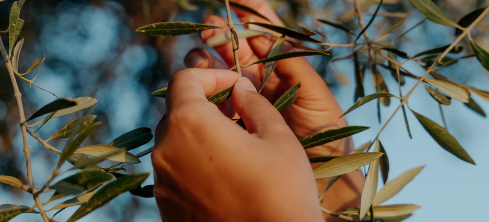 How to Be a Good Citizen of a Bad Country