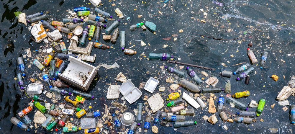 A Seabird Chick With 778 Pieces of Plastic in Its Body Shows How Bad Marine Pollution Has Gotten