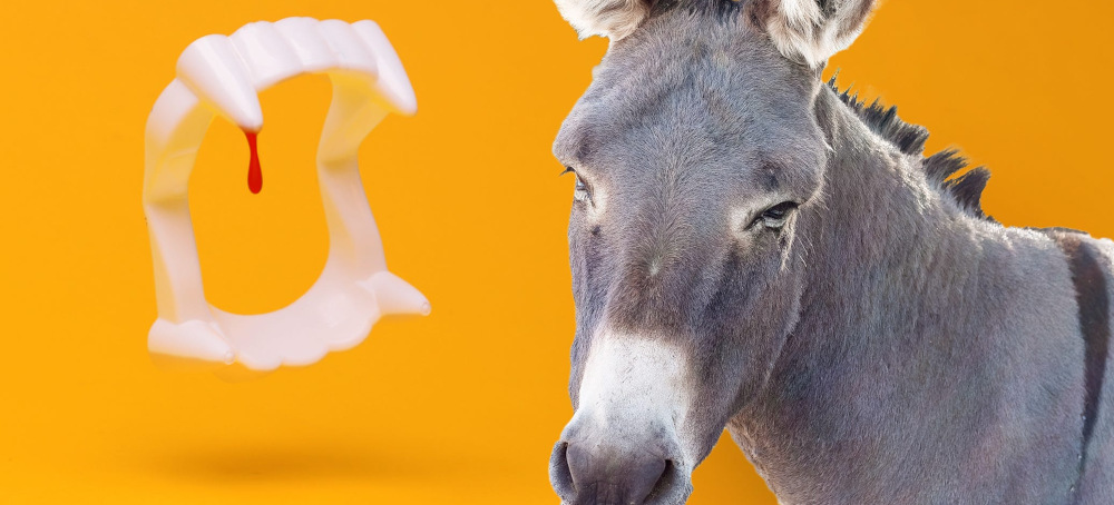 The Vampire Consultant Class Wants the Democratic Party’s Blood (and Money)