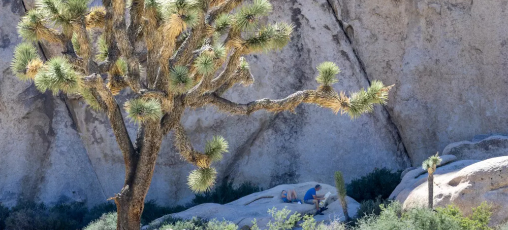 The Government Shutdown Is Over. The Nightmare Facing Public Lands Under Trump May Have Just Begun