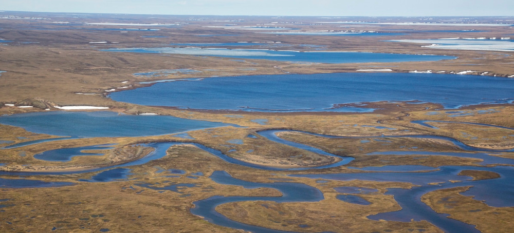 Trump Officials Open Millions of Acres of Alaska Wildlands to Oil and Gas Drilling