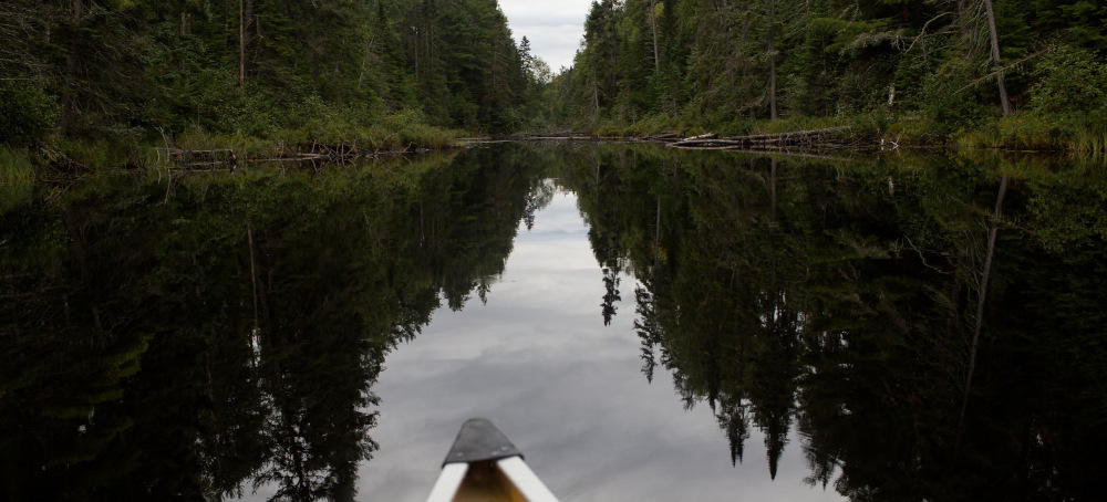Minnesota’s Boundary Waters Are Pristine. Trump’s ‘Gig, Beautiful Bill’ Could Pollute Them Forever