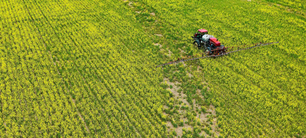 Trump's EPA Just Approved New ‘Forever Chemical’ Pesticides for Use on Food
