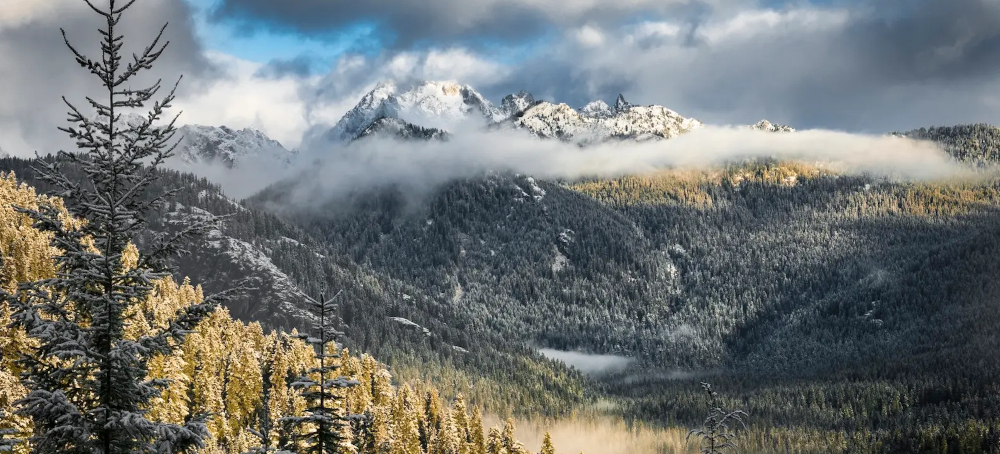 Your Favorite Campgrounds, Hiking Trails, and Forests Could Soon Be Up for Auction